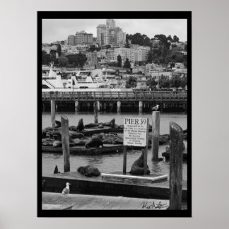 桟橋39 ポスター