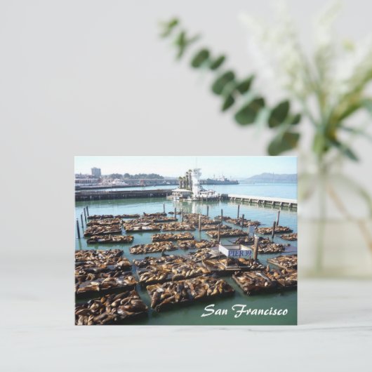 桟橋39 ポストカード (スタンド正面)