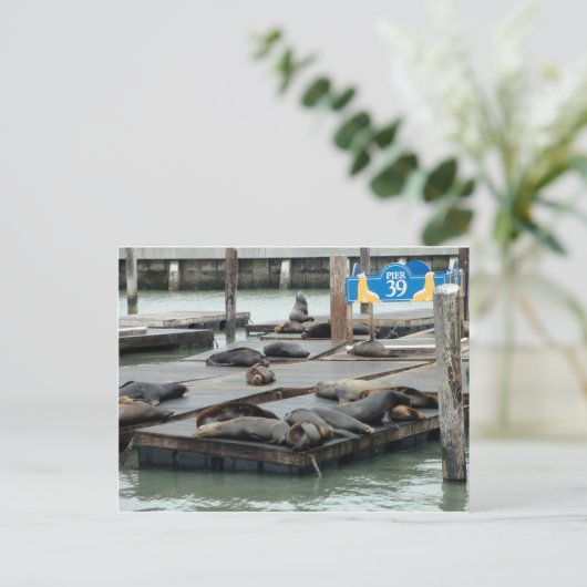 桟橋39 ポストカード (スタンド正面)