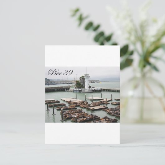 桟橋39 ポストカード (スタンド正面)