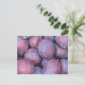 梅のカード ポストカード (スタンド正面)