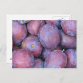 梅のカード ポストカード (正面/裏面)