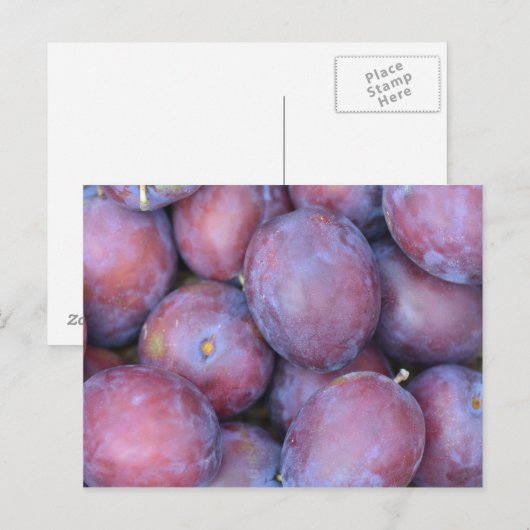 梅のカード ポストカード (正面/裏面)