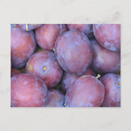 梅のカード ポストカード (正面)