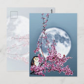 梅のフクロウ ポストカード (正面/裏面)