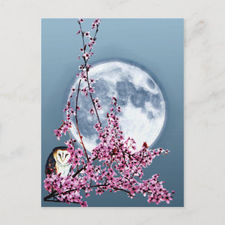 梅のフクロウ ポストカード