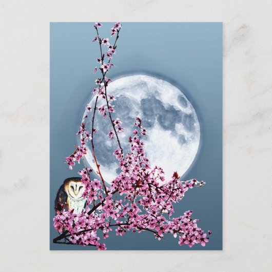 梅のフクロウ ポストカード (正面)