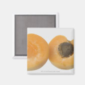 梅の断面の閉塞 マグネット (正面/裏面)