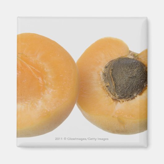 梅の断面の閉塞 マグネット (正面)