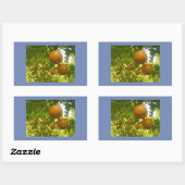 梅の花が咲く 長方形シール (シート)