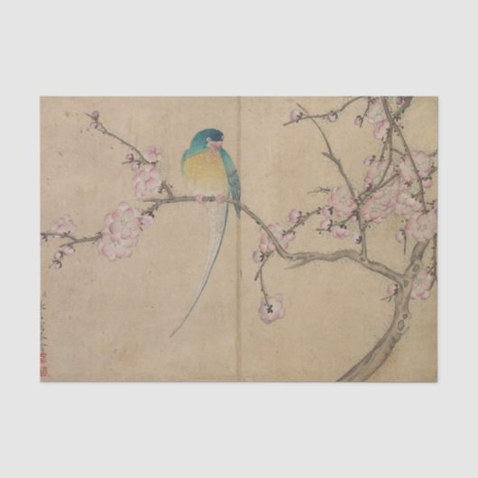梅の花と鳥 薄葉紙 (正面)
