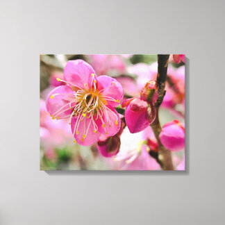 梅の花のクローズアップ キャンバスプリント