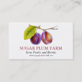 梅石果実農果物供給業者 名刺 (正面)