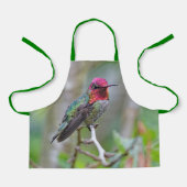 梅素晴らしの上のアンナのハミングバード エプロン (正面)