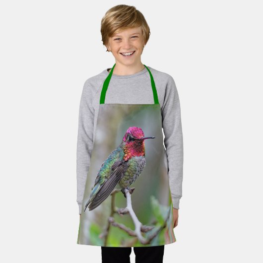 梅素晴らしの上のアンナのハミングバード エプロン (着用した状態)