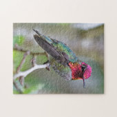 梅素晴らしの上のアンナのハミングバード ジグソーパズル (横)