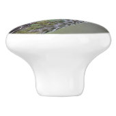 梅素晴らしの上のアンナのハミングバード セラミックノブ (側面)