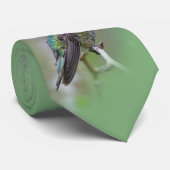 梅素晴らしの上のアンナのハミングバード ネクタイ (ロール)