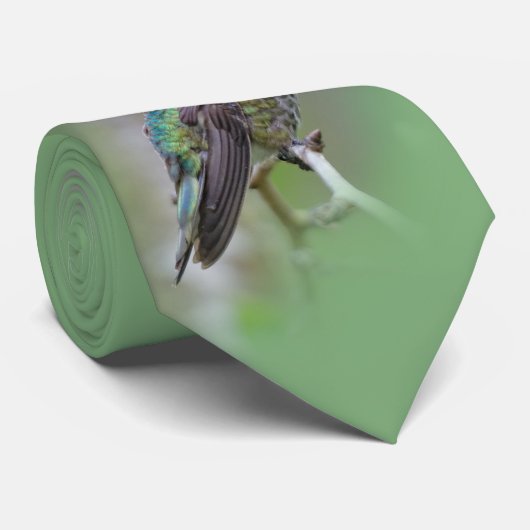 梅素晴らしの上のアンナのハミングバード ネクタイ (ロール)