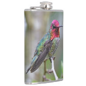 梅素晴らしの上のアンナのハミングバード フラスク (右)