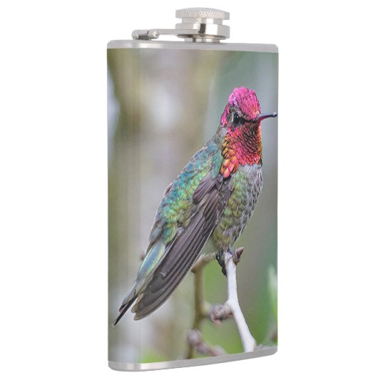 梅素晴らしの上のアンナのハミングバード フラスク (右)