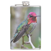 梅素晴らしの上のアンナのハミングバード フラスク (正面)