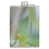 梅素晴らしの上のアンナのハミングバード フラスク (裏面)