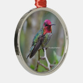 梅素晴らしの上のアンナのハミングバード メタルオーナメント (右)