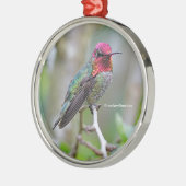 梅素晴らしの上のアンナのハミングバード メタルオーナメント (左)