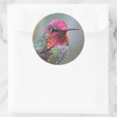 梅素晴らしの上のアンナのハミングバード ラウンドシール (バッグ)