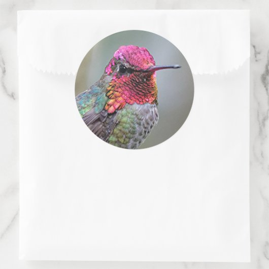 梅素晴らしの上のアンナのハミングバード ラウンドシール (バッグ)