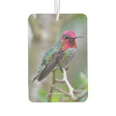 梅素晴らしの木の雄のアンナのハミングバード カーエアーフレッシュナー (裏面)