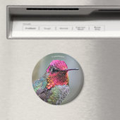 梅素晴らしの木の雄のアンナのハミングバード マグネット (インサイチュ (食洗機))