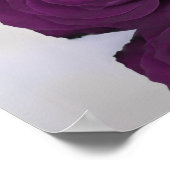 梅紫バラ15表結婚座図 ポスター (角)