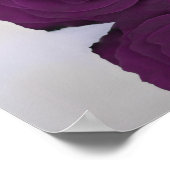 梅紫バラ25表結婚座図 ポスター (角)