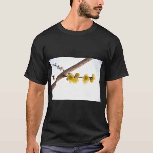 梅花冬アート Tシャツ (正面)