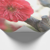 梅花春ピンク花包み紙 ラッピングペーパー (角)