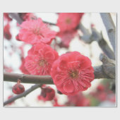 梅花春ピンク花包み紙 ラッピングペーパー (フラット)