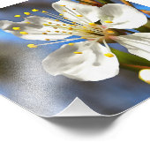 梅花植物芸術 フォトプリント            (角)