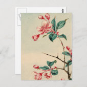 梅花葉書 ポストカード (正面/裏面)