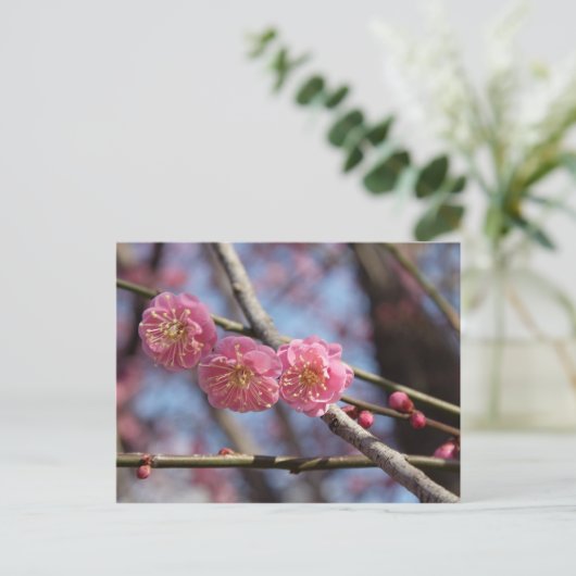 梅花葉書 ポストカード (スタンド正面)