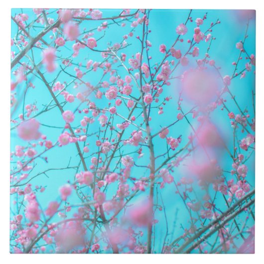 梅花 タイル (正面)