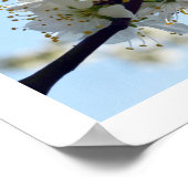 梅花 ポスター (角)