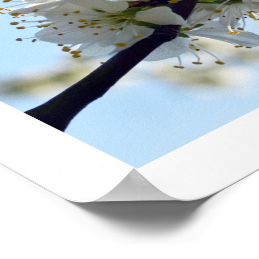 梅花 ポスター (角)