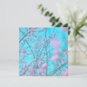 梅花(蘇州、中国) (スタンド正面)