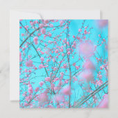 梅花(蘇州、中国) (正面)