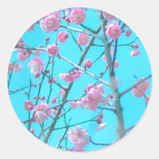梅花(蘇州、中国) ラウンドシール (正面)