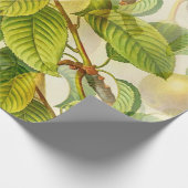 梨と葉 ラッピングペーパー (角)