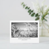 梨のはがき ポストカード (スタンド正面)