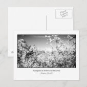 梨のはがき ポストカード (正面/裏面)